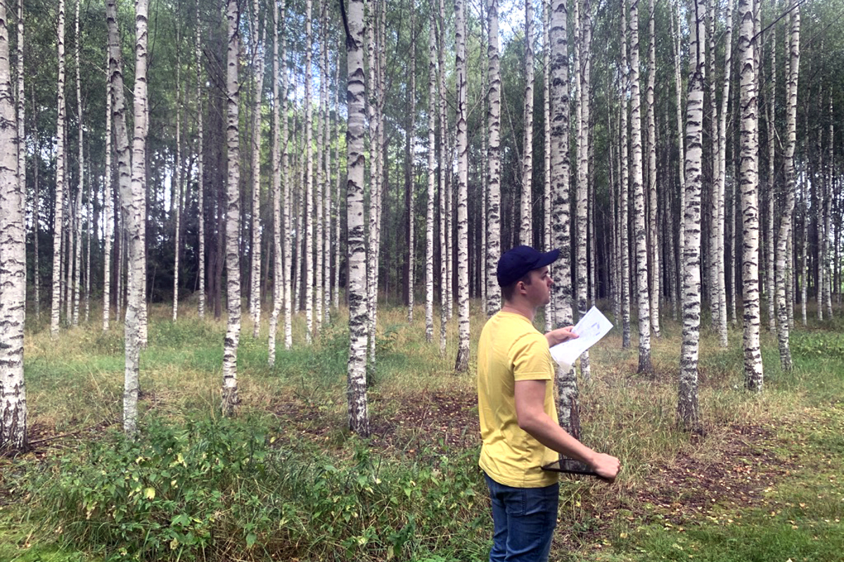 Man i gul t-shirt med laptop jobbar med fältarbete i björkskog. Foto.