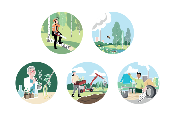 Illustrationer av Trees For Me:s forskning.