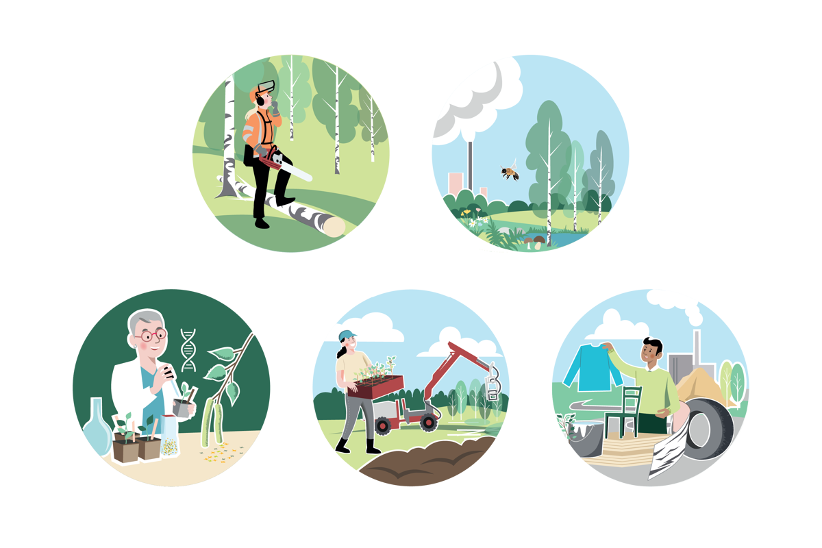 Illustrationer av Trees For Me:s forskning.