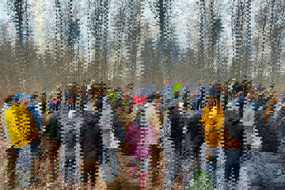 Grupp av människor i lövskog. Foto.