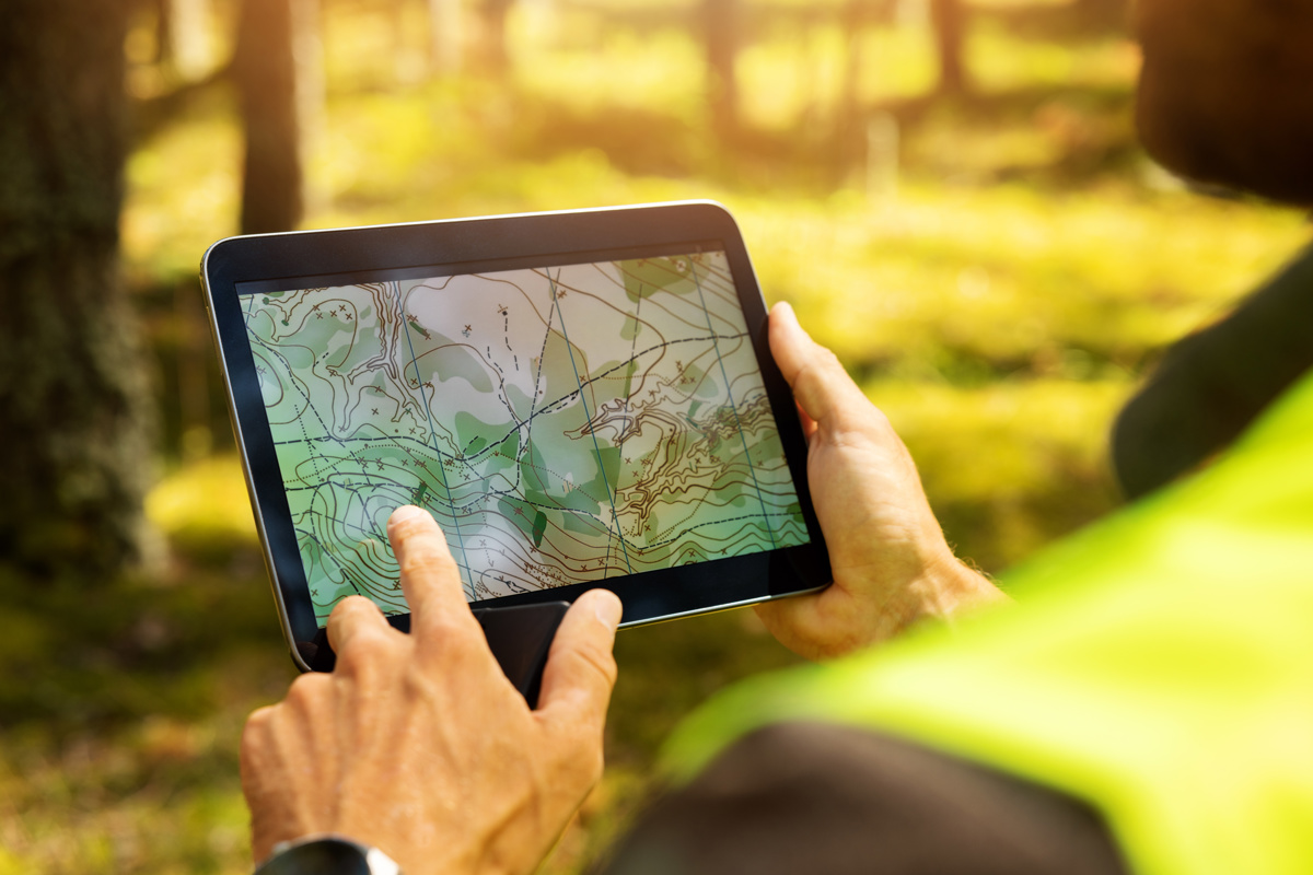 Hand holding tablet with topographical map in sunny forest. Photo.
