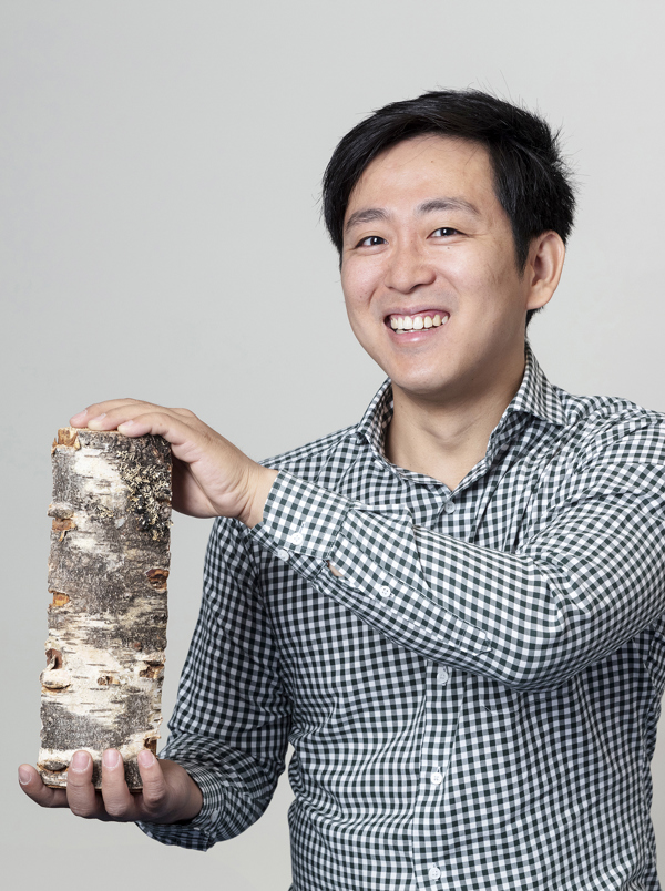 Man i rutig skjorta håller i björkved. Foto.